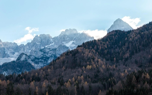 Auredius Deluxe Apartment