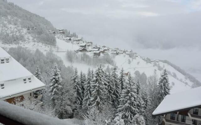 Alpine apartment in Swiss village of Torgon
