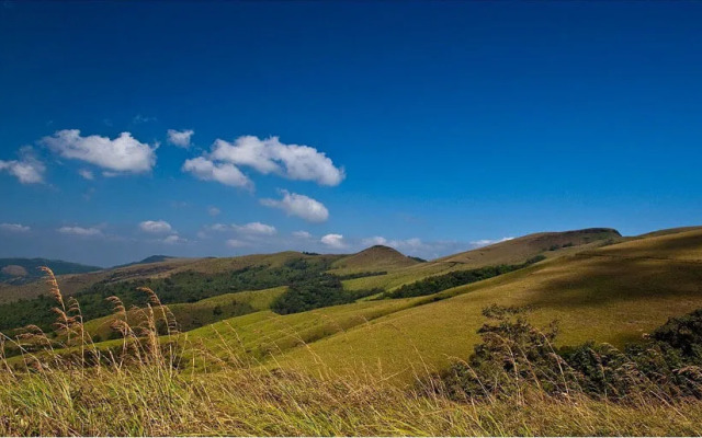 Kemmannugundi Hill Resort by Jungle Lodges