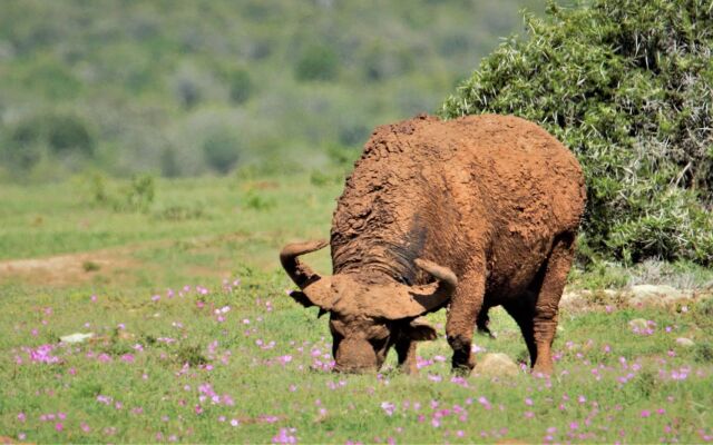 Hitgeheim Country Lodge & Eco Reserve