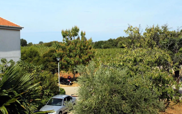 Apartments with a parking space Novigrad - 2536