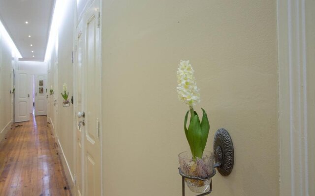 Typical Lisbon Guest House