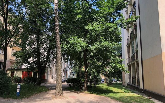 Central Rental - Apartament Wygodny