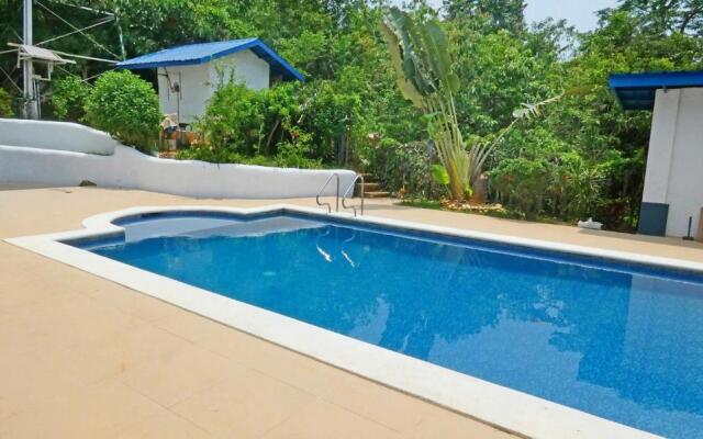 Luxury Villa with Pool in Tropical Garden