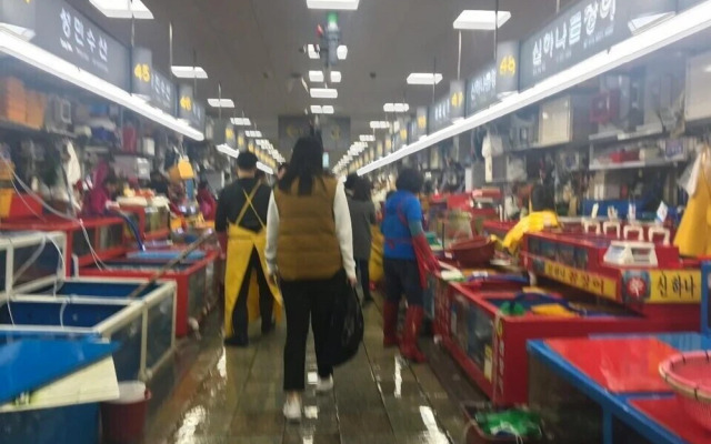 Ocean View Apartments in Gwanganri