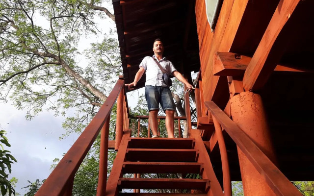 Dambulla Tree House