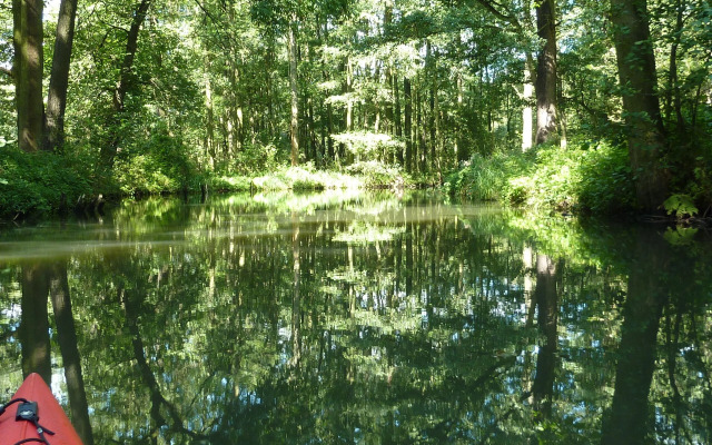 Spreewald - Pension Spreeaue