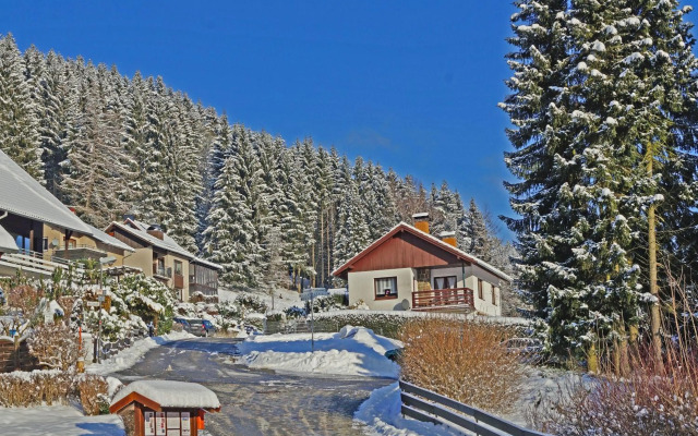 Ferienwohnung - Waldwasser mit Waldblick