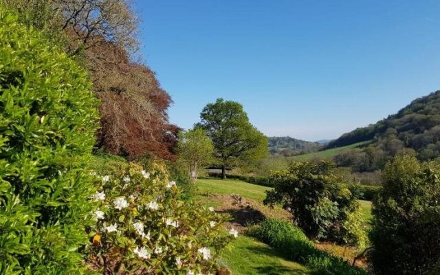 Eastwrey Barton - Guest house