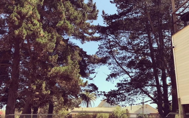 Cabañas Costa Norte