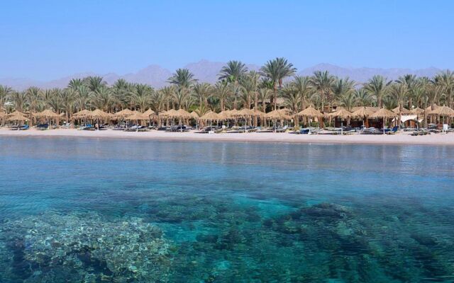JAZ Sharm Dreams