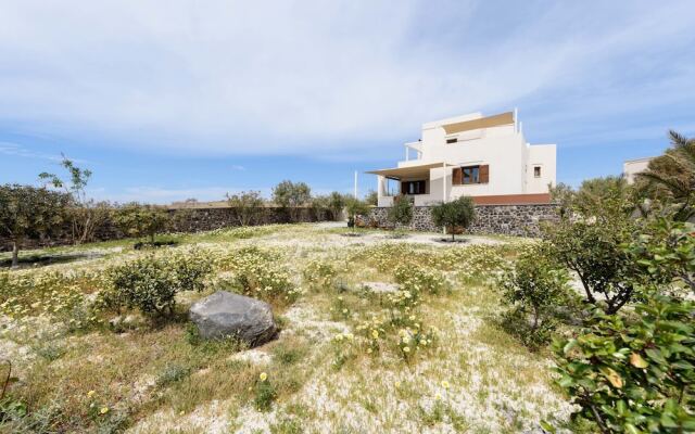 The House of Sun
