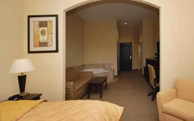 Comfort Inn & Suites Downtown