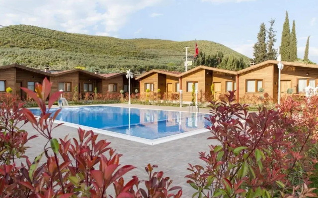 Luxurious Suits With Private Pool and Jacuzzi