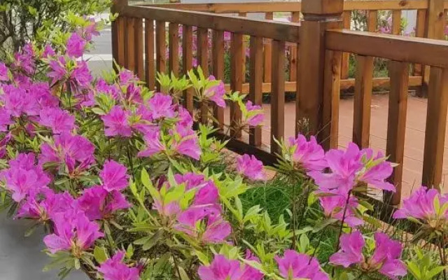 Yunshanying B&B (Tianzhushan Scenic Area Branch)