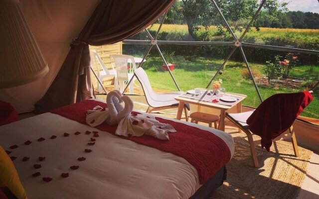 Tui's Nest Glamping