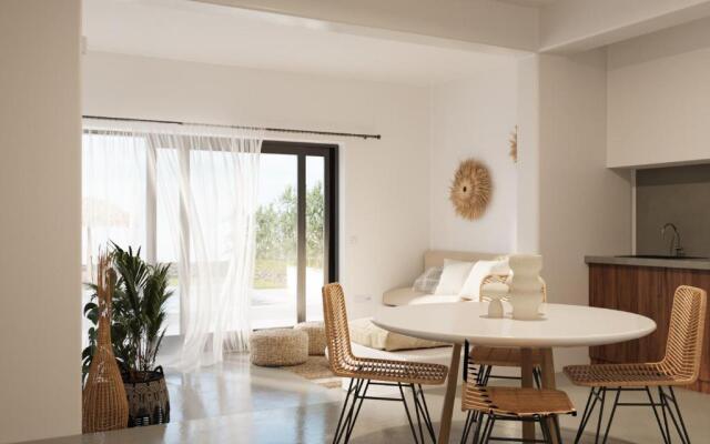 Aura Villas Tinos