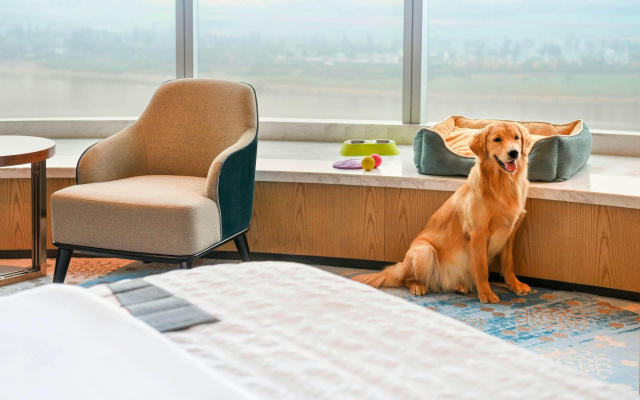 Le Meridien Xi'an Chanba – Guest Rooms – Xi'an