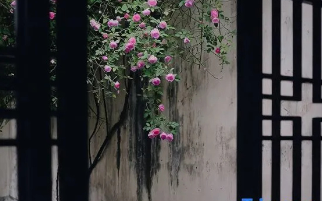Wuzhen Ziyeju Homestay (Xizha Scenic Area)