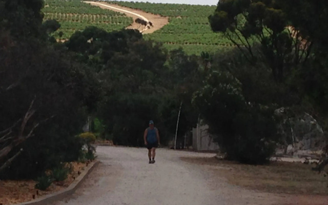 Seppelts View Cabins