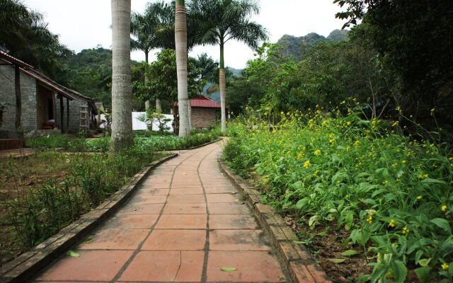 Long Phuong Homestay