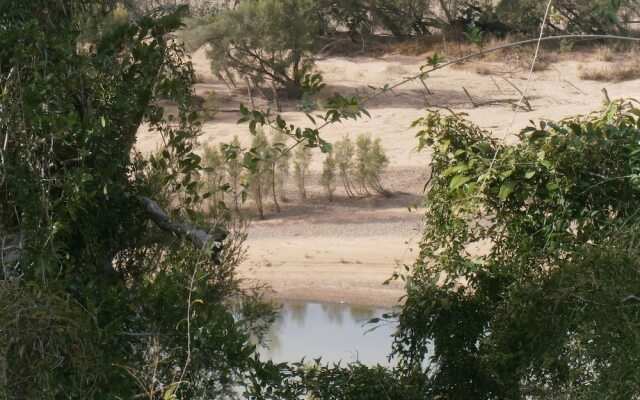 Bungadoo Breeze - Clothing Optional