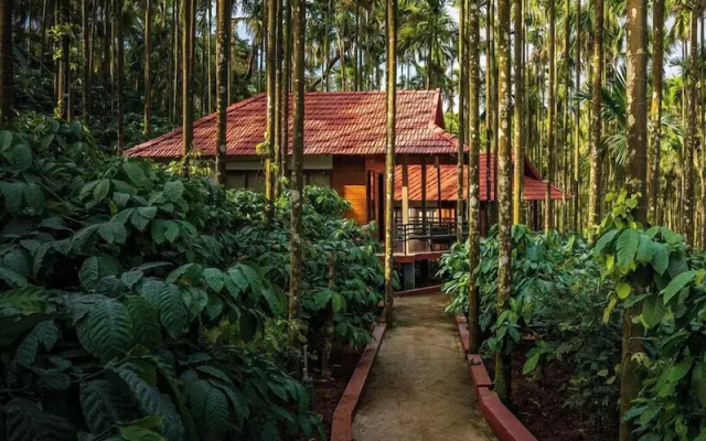 Coffee Gudda Resort