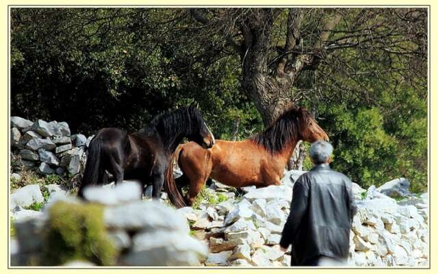 To Archontiko Guest House