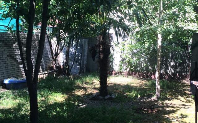 Alexandra Guest house