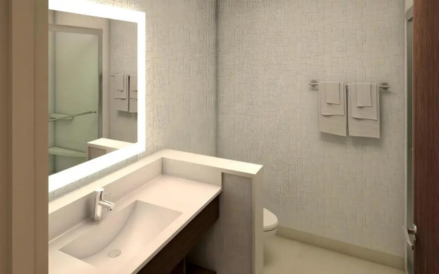 Holiday Inn Express & Suites Plano East - Richardson by IHG