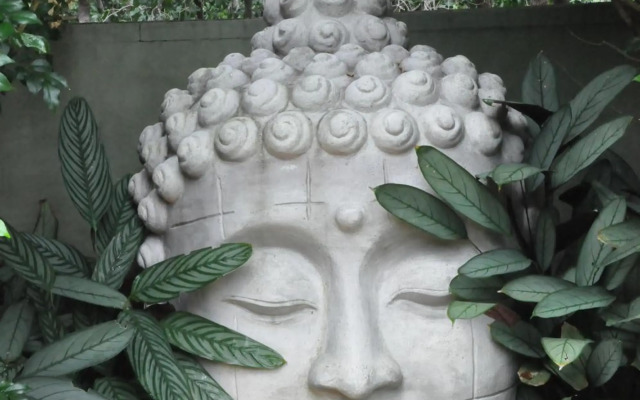 Stunning Magnetic Island Home,Private, Large Pool,Adults Only