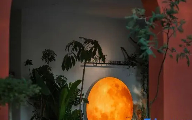 UnderTheGinkgoTree · hotel