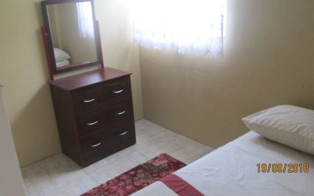 Tropical Breeze Guesthouse and Furnished Apartments