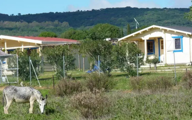 Maryvacas
