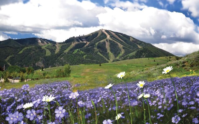 The Christophe 704 - 1 Bdrm - Great Hiking & Mtn Biking! Condo