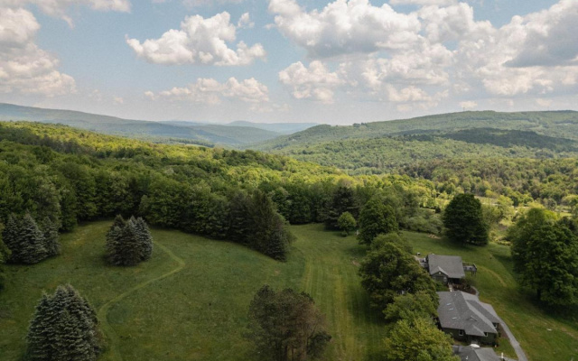 Hemlock Neversink