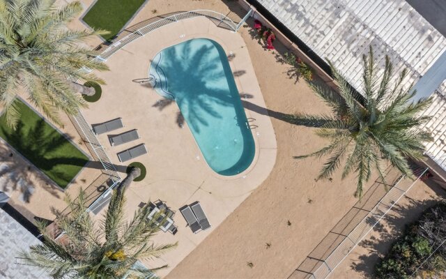 Contemporary Condo in Central Biltmore