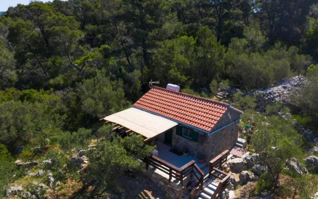 Robinson house''La Vida''