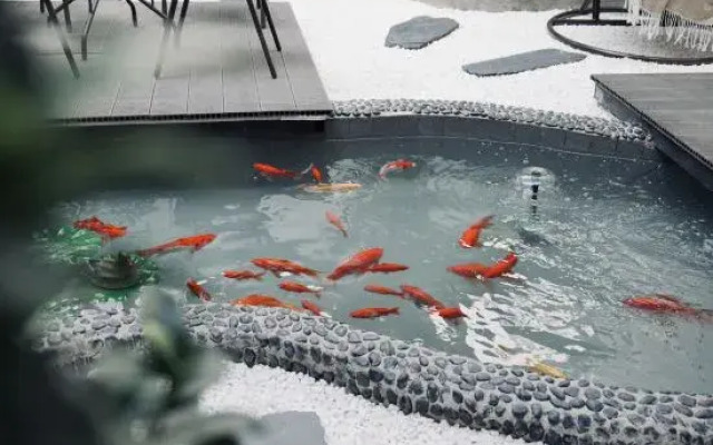 Shuimu Yunxiao Huanxi Courtyard B&B (Dali Ancient Town Branch)