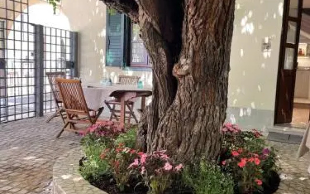 Antica locanda al Gelso