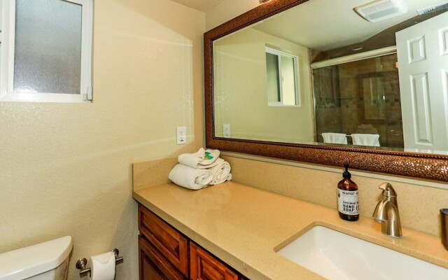 Bohemia BIG Bear #1926