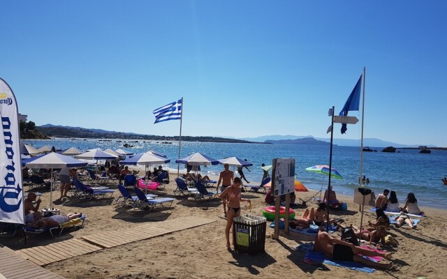 Iriana's Apartments in Center