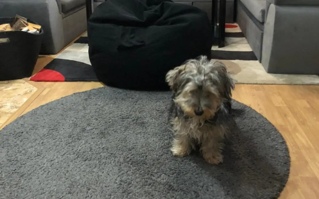 Sunshine villa Dzhigurovo