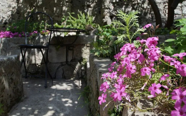 Guesthouse Old Town