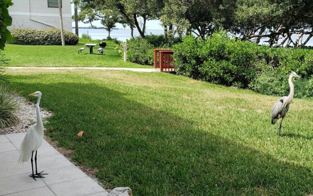 Runaway Bay Resort by BBG