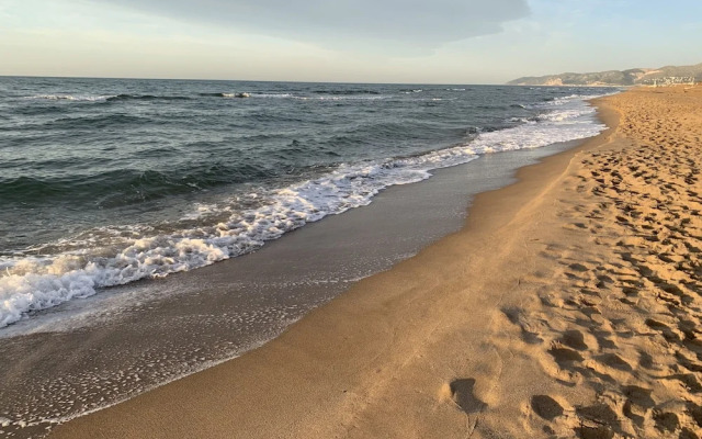 Mersey Be my Guest Castelldefels