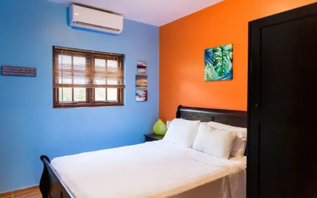 Little Jungle Apartments Aruba