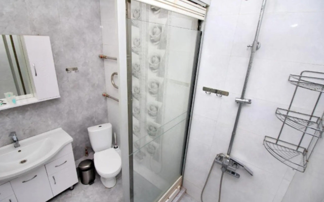 Apartments on Alisher Navoi street 323