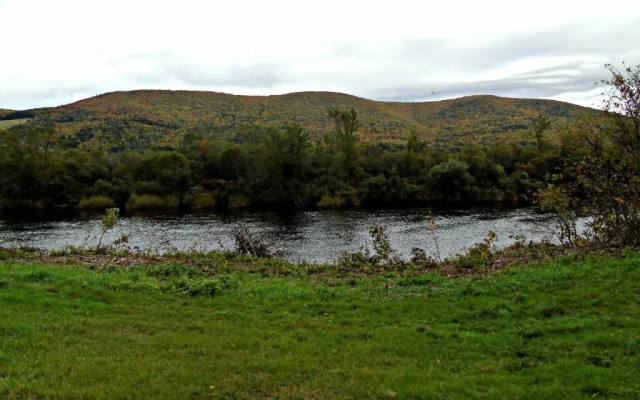 Cajun Cedar Log Cottages