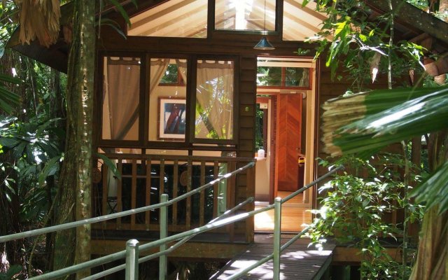 Daintree Wilderness Lodge